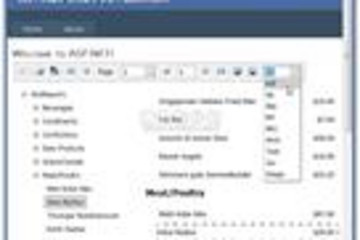 DevExpress Silverlight Controls预览：